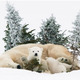 Image for article titled Nature Photos That Will Rock Your World